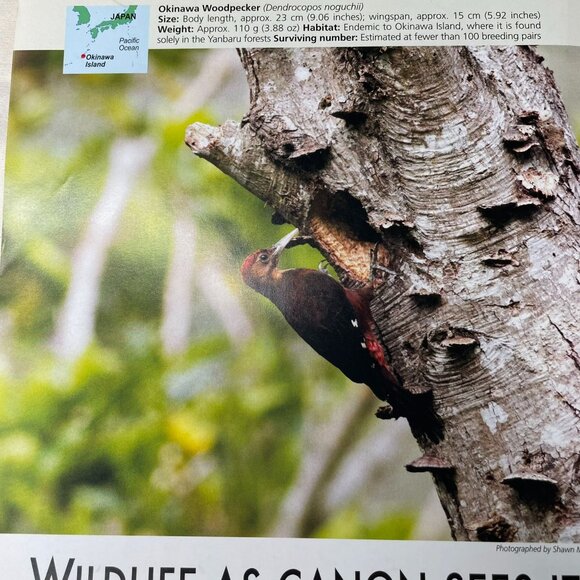 2015 Wildlife As Canon Sees It Print Ad Full Page Original u - Picture 2 of 6